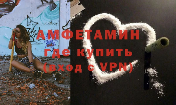 крисы Магас