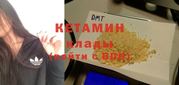 крисы Магас