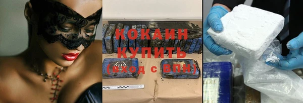 крисы Магас