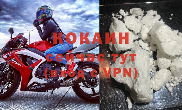 крисы Магас