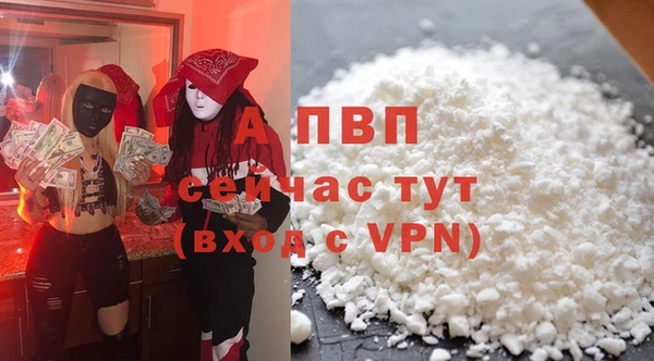крисы Магас