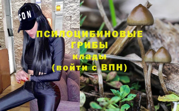 крисы Магас