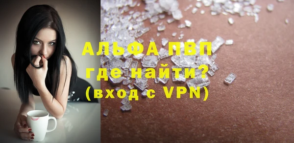 крисы Магас