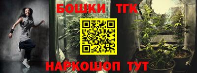 спиды Дубна