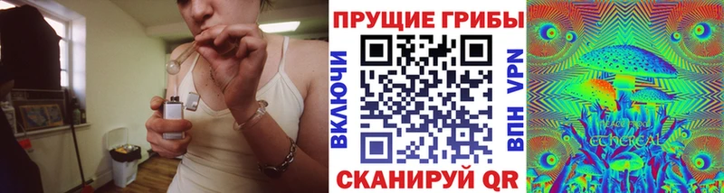 кракен как зайти  Зеленогорск  Галлюциногенные грибы MAGIC MUSHROOMS 