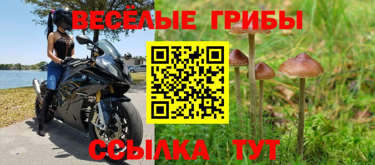 Галлюциногенные грибы ЛСД Зеленогорск