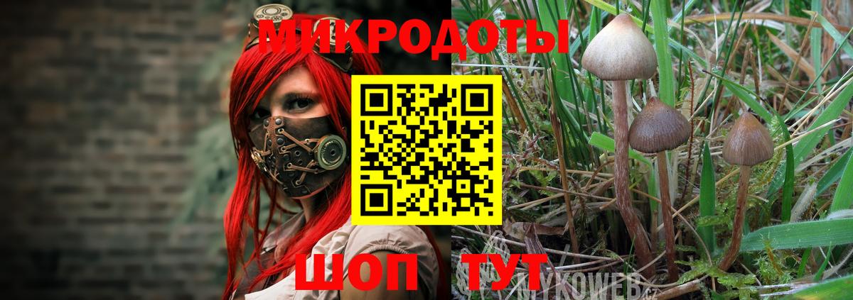 Зеленогорск  Псилоцибиновые грибы ЛСД  Вход с VPN  Галлюциногенные грибы ЛСД 