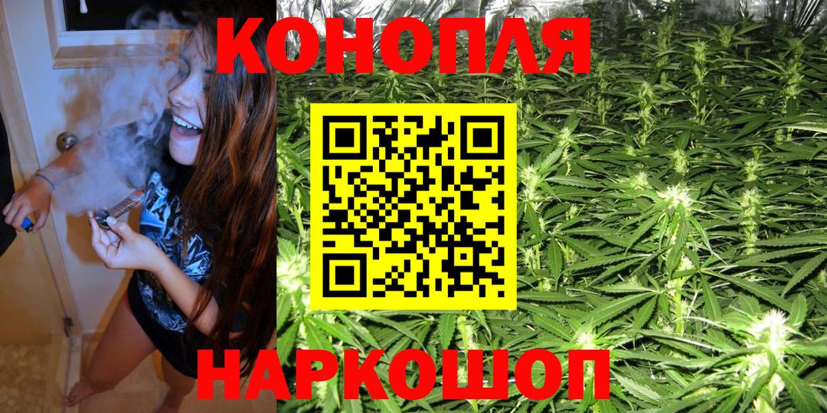 Бошки Шишки THC 21% Зеленогорск